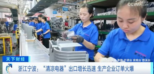 爆单 这些产品国内外卖爆了 有企业年出口额超1亿美元