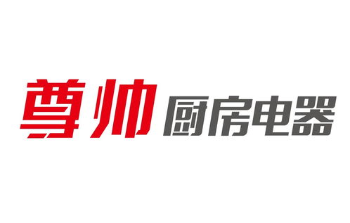 合肥尊帅电器